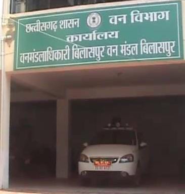 मुख्य वन संरक्षक ने कहा सीपत सर्किल कि कराएंगे जांच, जल्द हो सकता है आदेश जारी          वन विभाग के अजगर ने डकार लिया 30 लाख  रुपए, विभाग के अधिकारी बेखबर या फिर हिस्सेदारी के कारण मौन समर्थन 