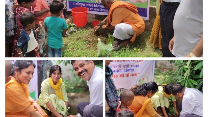 एकीकृत बाल विकास परियोजना सीपत में शुरू हुआ अभियान-एक वृक्ष माँ के नाम, जनप्रतिनिधि एवं आमजन के सहयोग से किया गया वृक्षारोपण 