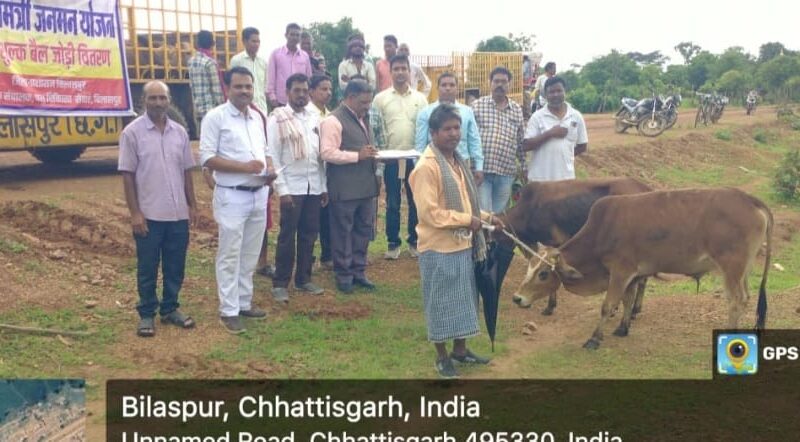 बैगा परिवारों को 20 जोड़ी बैल निःशुल्क वितरित, खेती किसानी का काम होगा आसान