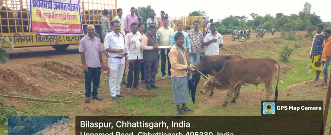 बैगा परिवारों को 20 जोड़ी बैल निःशुल्क वितरित, खेती किसानी का काम होगा आसान