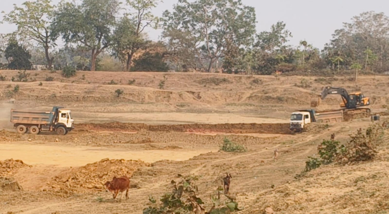 ग्राम पंचायत चोरभट्टी सरपंच ने 10 हजार रूपए में बेच दिया तालाब से मिट्टी मुरुम ?